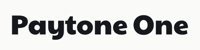 Paytone One in the display category
