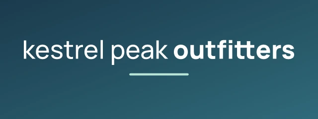 Kestrel Peak Outfitters logo, AI direction 5: wind-swept flight, sleek and modern